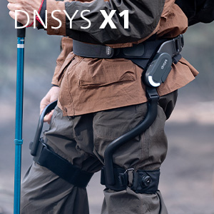 DNSYS X1